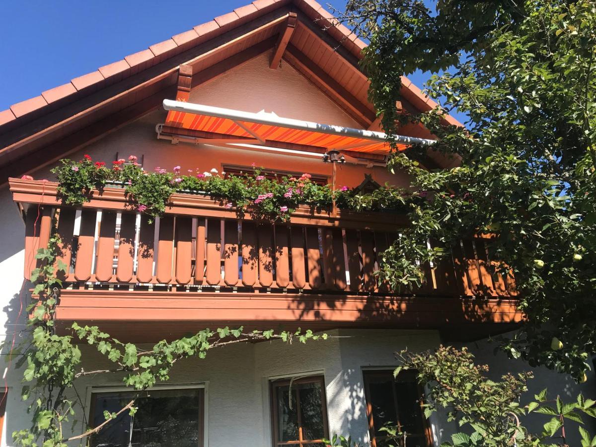 Judith Apartment
